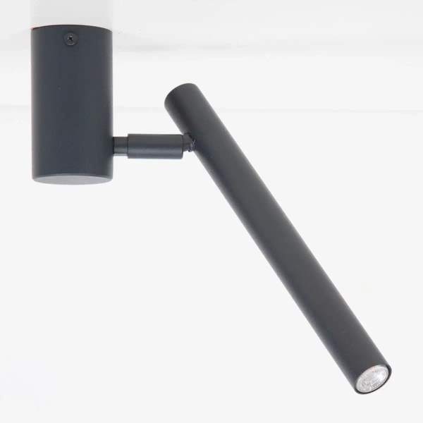 Sufitowa lampa do biura Sopel 41474 regulowana grafitowy