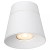 Biała lampa sufitowa Trigono kierunkowy downlight metalowy