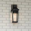 Elewacyjna lampa ścienna Buckley QZ-BUCKLEY-M-MBK szklana IP44 czarny