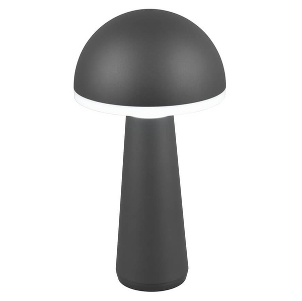 Zewnętrzna lampka stojąca Fungo R57716142 IP54 LED 2W 3000-5000K czarny