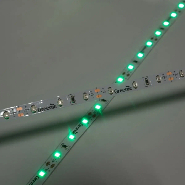 Ledowa taśma na rolce TL204GN Greenie LED 4,8W 5m zielona