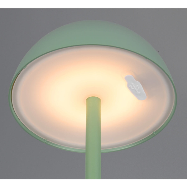 Stołowa lampka ogrodowa Ricardo R54106149 LED 2W 3000K IP54 zielona