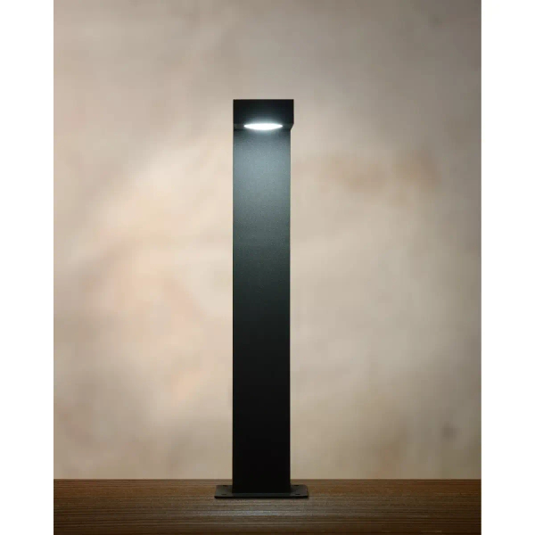 Tarasowa lampa stojąca TAYLOR 28851/40/30 Lucide LED 6W 3000K IP54 antracyt