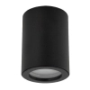 Łazienkowa lampa sufitowa Ligno 10933 tubka okrągła IP44 czarny