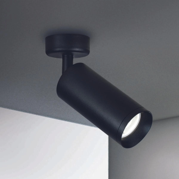 Sufitowy reflektor do gabinetu Focus C017CW-01B Maytoni regulowany czarny