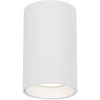 Downlight metalowy GENESIS ML0382 sopel do salonu biały