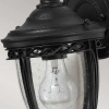 Zewnętrzna LAMPA elewacyjna English FE-EB2-S-BLK Elstead FEISS ogrodowa OPRAWA ścienna szklana latarenka IP44 czarna przezroczysta