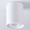Spot LAMPA sufitowa HADAR 313096 Polux metalowa OPRAWA natynkowy downlight tuba plafon biały