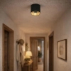 Kuchenna lampa na sufit Altisma CLN-6677-95-BL-GD-3K Italux LED 15W 3000K czarny złoty