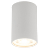 Punktowa lampa nasufitowa Top 5766 do jadalni tubka rurka biała