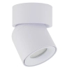 Spot sufitowa lampa punktowa Twist 10576 regulowana metalowa biały