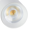 Metalowy reflektor Blaupunkt RS3W-30CCT LED 30W 3000-4000-5700k biały