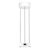 Wisząca lampa nad stół ALMAY LE44606 LED 24W 3000K pierścień biały