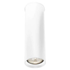 Spot LAMPA sufitowa ARIDA 7009 Shilo tuba downlight OPRAWA biała