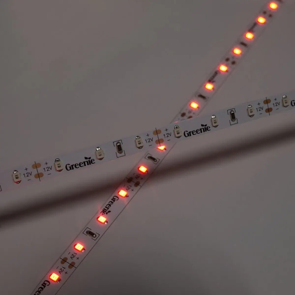 Ledowa taśma na rolce TL204GN Greenie LED 4,8W 5m zielona