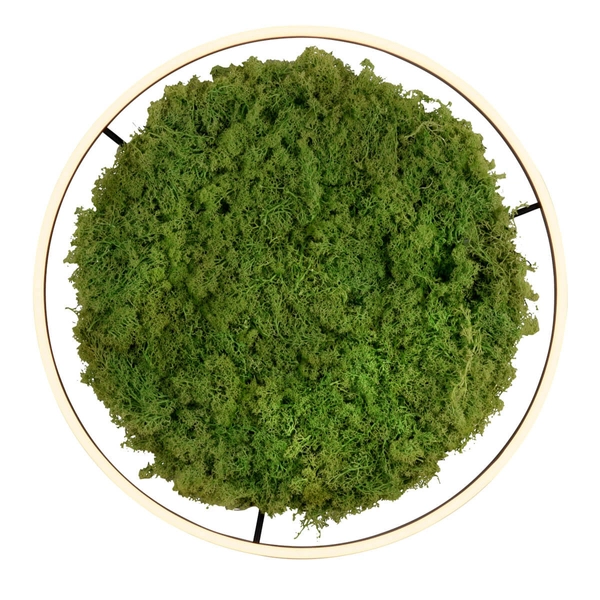 Lampa sufitowa salonowa GREEN RITU 15392-66 LED 28W 3000K zielony