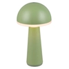 Stołowa lampka grzybek Fungo R57716149 RL Light IP54 LED 2W 3000-5000K zielony
