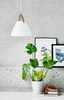 Szklana lampa wisząca Strap 84313001 Nordlux nordycka biała
