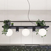 Lampa wisząca Plant Shelf 5555 Zumaline półka na rośliny kule czarne białe