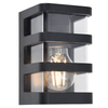 Loftowa lampa ścienna DALTON 5214501330 IP44 przezroczysta czarna