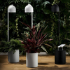 LAMPA stojąca BOTANICA 40849102 Kaspa metalowa OPRAWA podłogowa tuba z doniczką czarna
