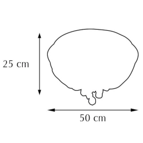 Okrągły plafon glamour DRS1066 8C crystals do jadalni chrom