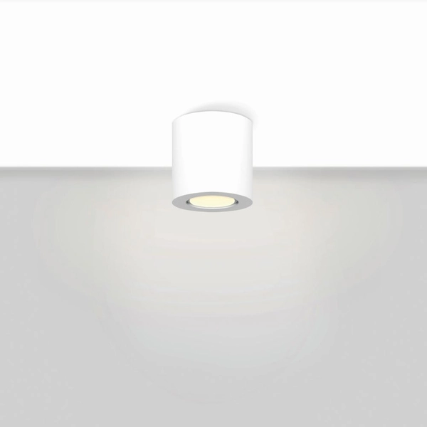 Lampa sufitowa natynkowa Rund 300701002 Elkim biała tuba biała