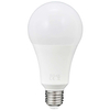 Żarówka PLATINUM 307620 Polux E27 A80 LED 20W 2000 lm 230V biała ciepła 3000K