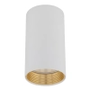 Sufitowa lampka punktowa Amis 10719 tubka do salonu złoty biały