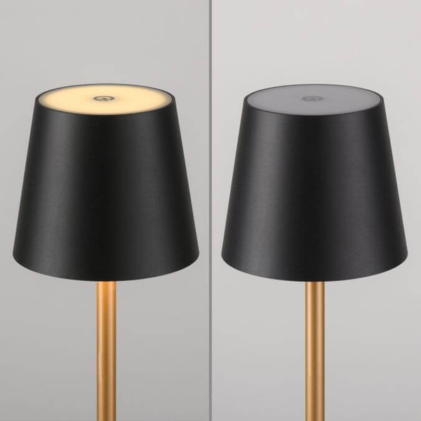 Stołowa lampka Euria 19250-68 LED 2,5W 3000K IP54 czarna złota