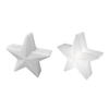 Stojąca lampa ogrodowa Star ES-CR041 Step LED 5W RGBW IP65 gwiazda biała