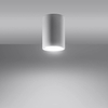 Metalowa lampa sufitowa SL.0996 salonowy dwonlight biały
