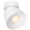 Biała lampa sufitowa Trigono 09935/01/31 downlight metalowy outlet