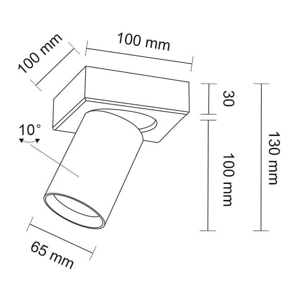 Sufitowa LAMPA spot TARUMI 7971 Shilo metalowa OPRAWA okrągła industrialna tuba regulowana biała
