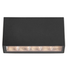 Natynkowa lampa sufitowa Forli OWL-2015-3K Italux LED 5W 3000K IP54 czarny