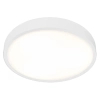 Owalny sufitowy plafon Cedrone OR85945  LED 25W 3000-6500K biały