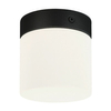 Łazienkowa lampa sufitowa Cayo 8055 szklana tuba biała czarna