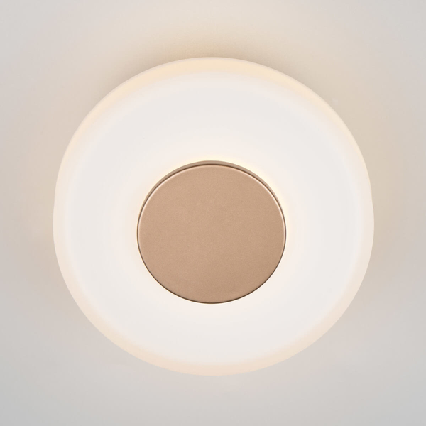 Ścienny kinkiet CELESTE 254910165 Trio LED 10W 3000K okrąg biały brązowy