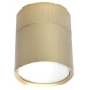 Downlight do salonu PZE-9001 CGG53PZE-9001 ruchoma tuba złota