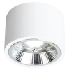Natynkowa sufitowa lampa REDONDO ML1075 metalowa biała
