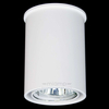 Spot LAMPA sufitowa OSAKA 7022 natynkowa tuba DOWNLIGHT biały OUTLET