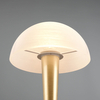 Lampka stołowa Canaria R59561108 RL Light do sypialni mosiądz
