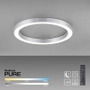 Lampa sufitowa sterowana pilotem PURE-LINES srebrna 6309-95 1xLED 30W 2700-5000K