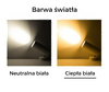 Ledowy reflektor Blaupunkt DRN-12WW LED 12W 3000K czarny