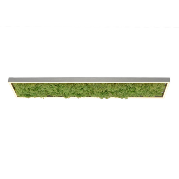 Dekoracyjny plafon GREEN KNUT 15623-66 LED 25W 3000K do jadalni zielony