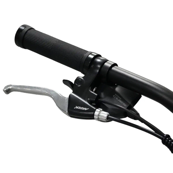 Metalowy rower elektryczny 29" Goldbike 326959 36V 13Ah 250W do 80 km czarny