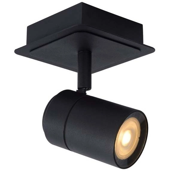 Regulowana lampa sufitowa Lennert 26958/05/30 ogrodowa czarna