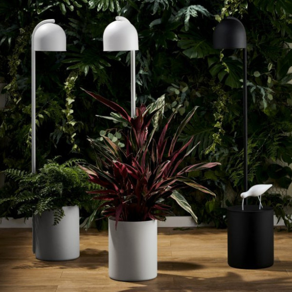 LAMPA stojąca BOTANICA 40849102 Kaspa metalowa OPRAWA podłogowa tuba z doniczką czarna