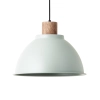 Skandynawska lampa wisząca Erena 99836/63 metalowa jasnozielona
