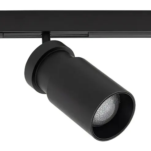 Sufitowa lampa 1-obwodowa 11713 LED 2W 3000K czarny
